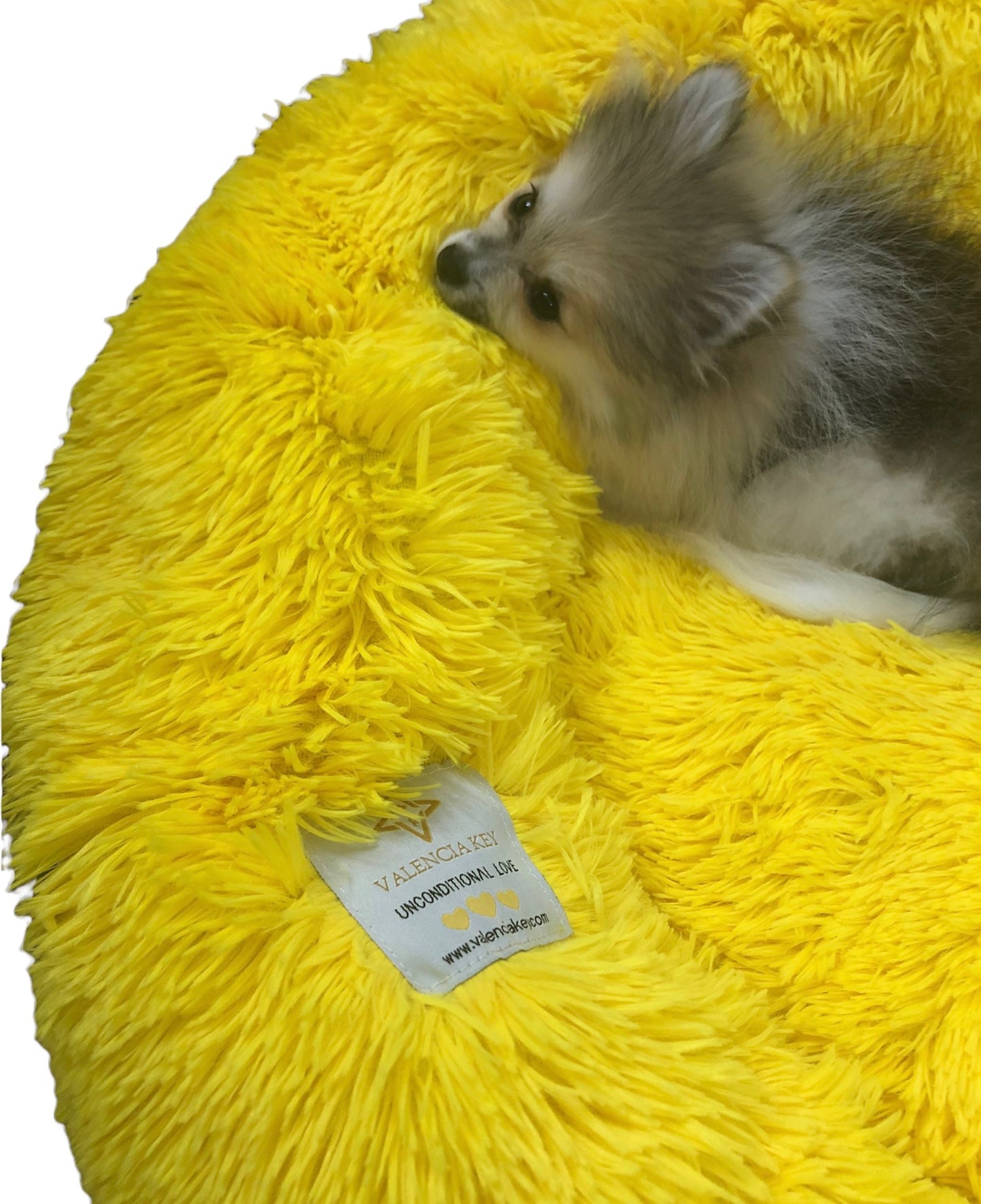 VALENCIA KEY Calming Burst of Joy Pet Beds