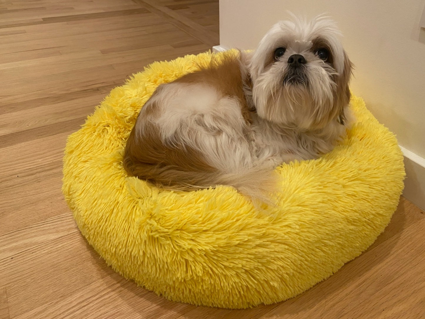 VALENCIA KEY Calming Burst of Joy Pet Beds