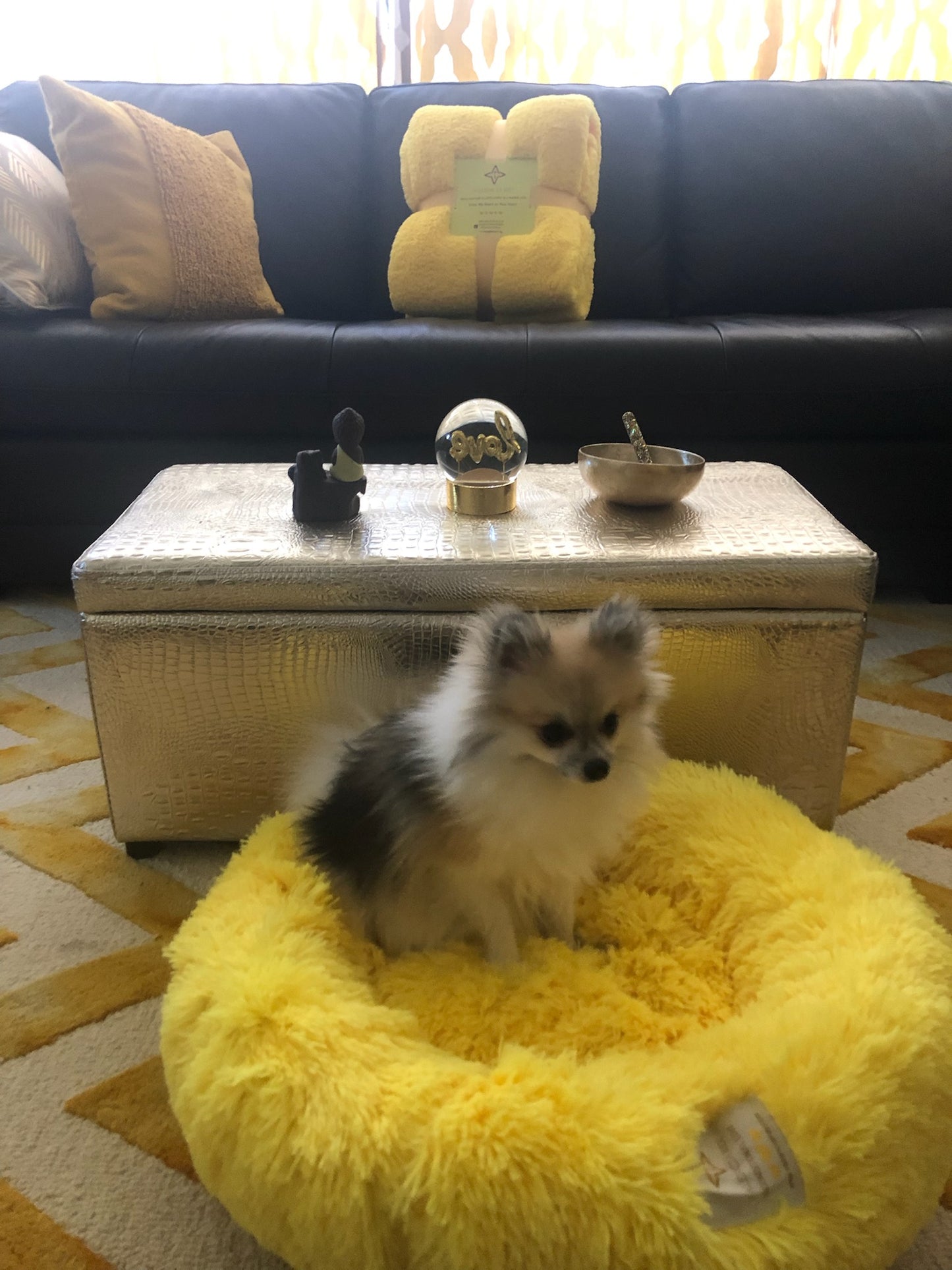 VALENCIA KEY Calming Burst of Joy Pet Beds